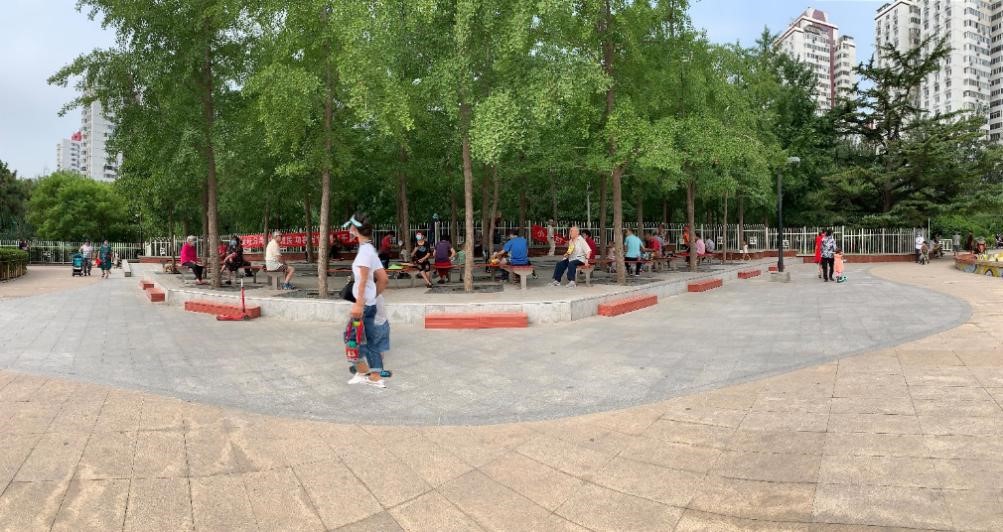 图 葫芦岛广场西侧的银杏广场上纳凉休息的居民.jpg