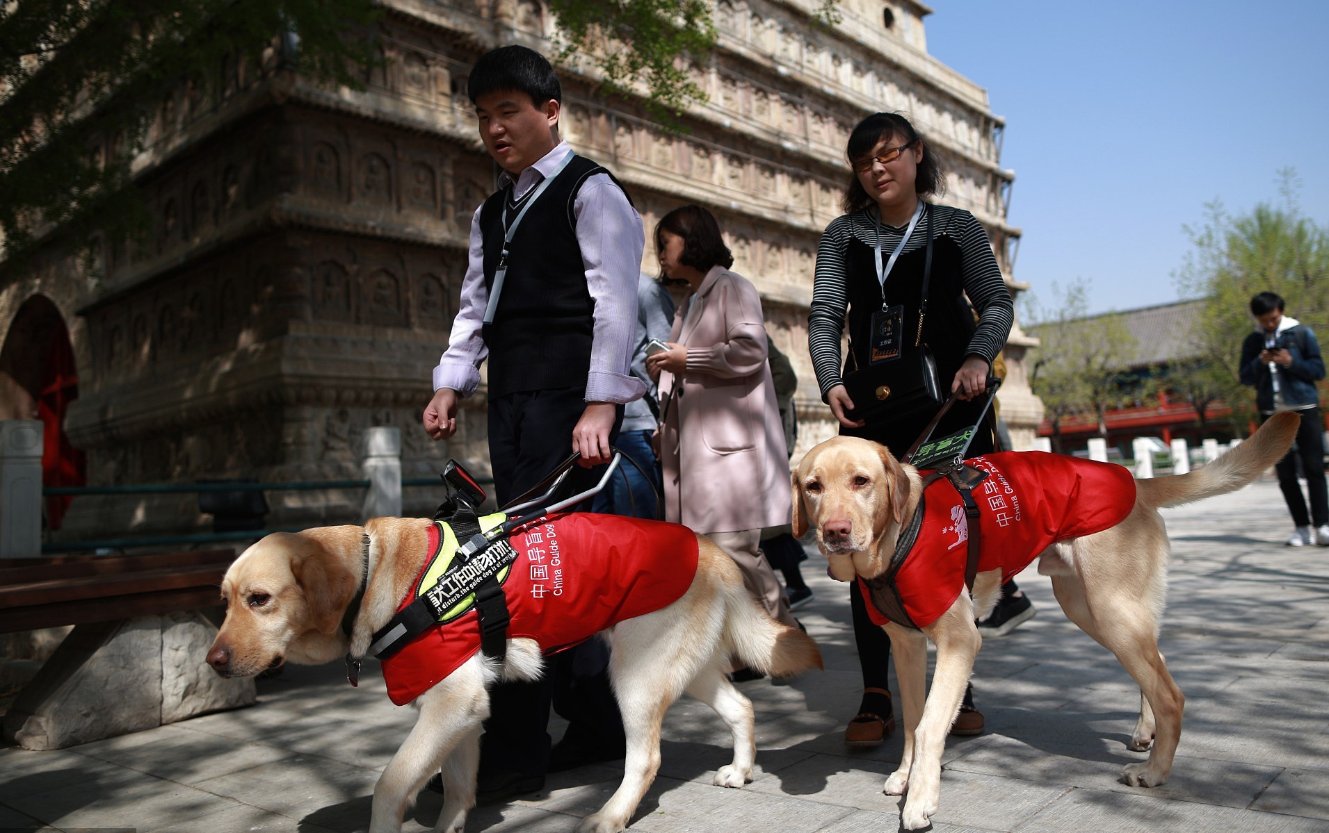 盲人朋友在导盲犬的引领下参观北京石刻博物馆（图片来源：CFP）.jpg