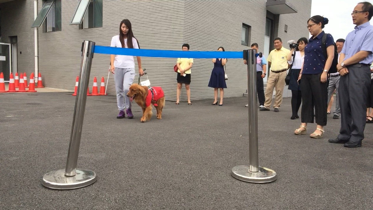 图 导盲犬训练示范.jpg