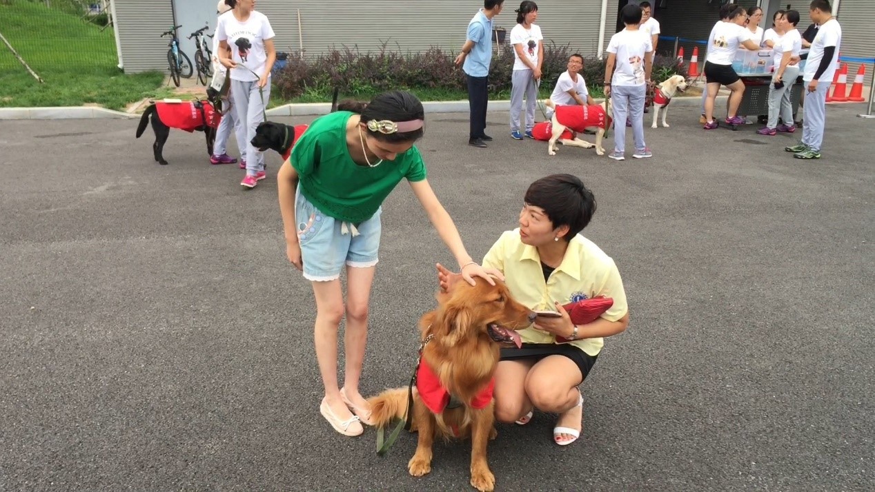 嘉宾与导盲犬互动.jpg