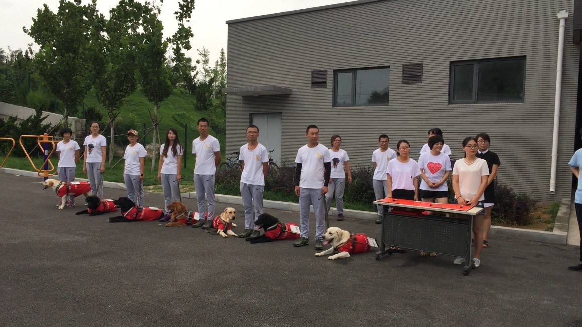 图 导盲犬与驯养师.jpg