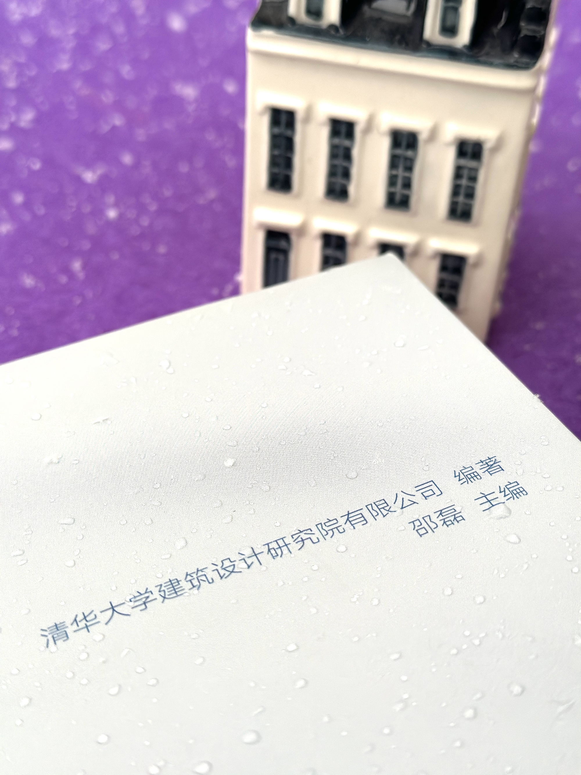 《通用无障碍设计》邵磊.jpg